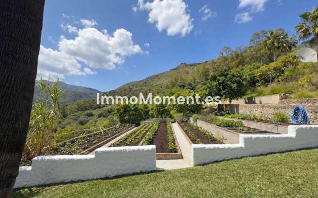 Revente - Maison de campagne - Intérieur                       - Alhaurín el Grande Centro