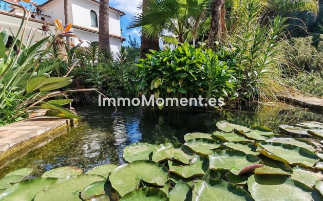 Revente - Maison de campagne - Intérieur                       - Alhaurín el Grande Centro