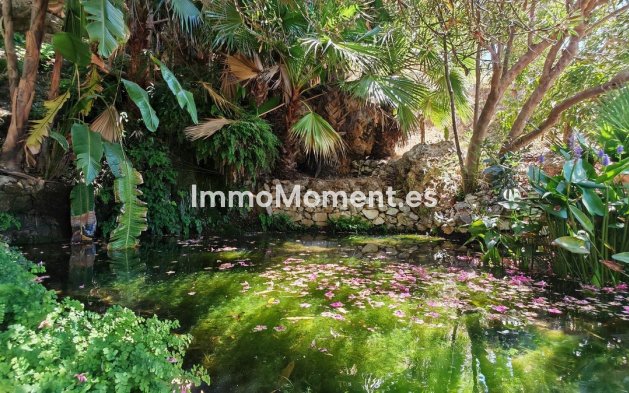 Revente - Maison de campagne - Intérieur                       - Alhaurín el Grande Centro
