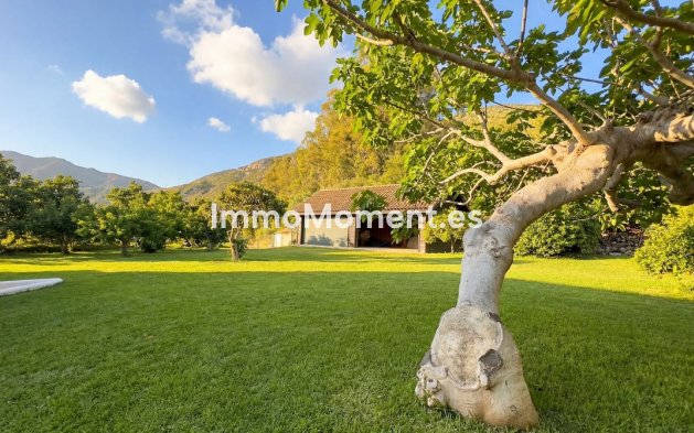 Revente - Maison de campagne - Intérieur                       - Alhaurín el Grande Centro