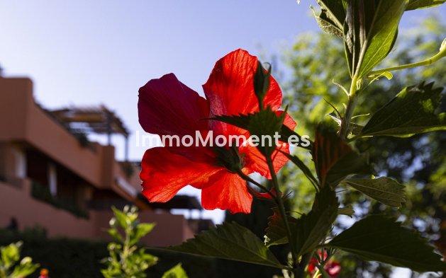 Reventa - Apartamento - Casares - Casares Centro