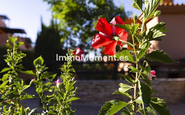 Reventa - Apartamento - Casares - Casares Centro