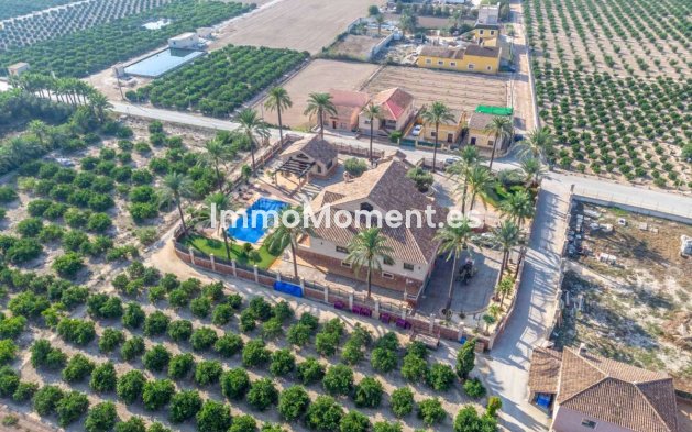 Wiederverkauf - Freistehende Villa - Orihuela - Molíns