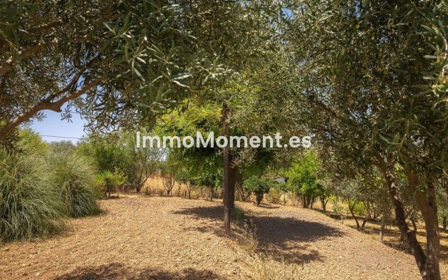 Resale - Detached villa - Inland  - Alhaurín el Grande Centro
