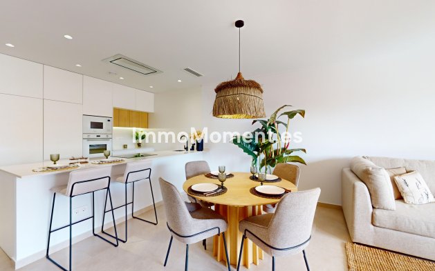 Obra nueva - Apartamento - Pilar de la Horadada