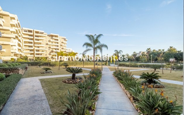 Bestaande woning - Appartement - Marbella - Nueva Andalucía