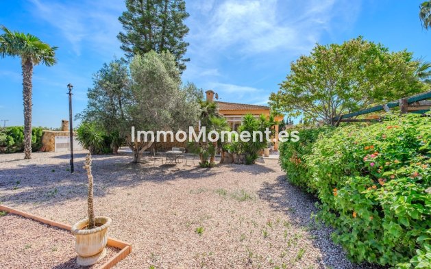 Bestaande woning - Vrijstaande villa - Rojales - Rojales Centro