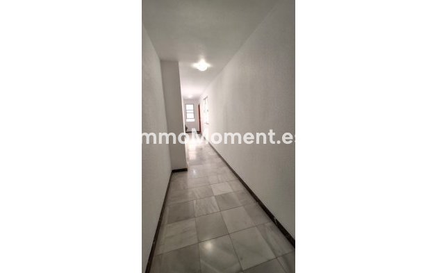 Wiederverkauf - Wohnung - Orihuela - Orihuela Centro