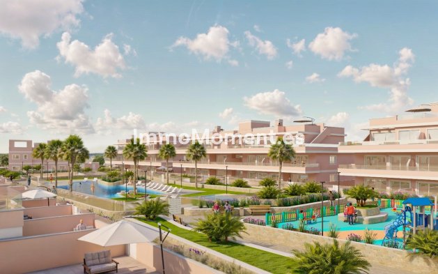 Construction neuve - Penthouse - Pilar de la Horadada