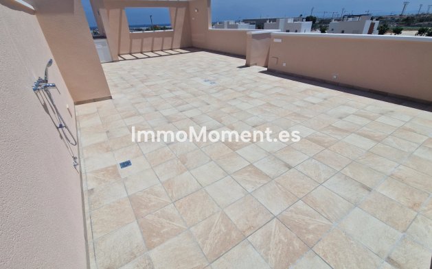 Construction neuve - High-bungalow - Pilar de la Horadada