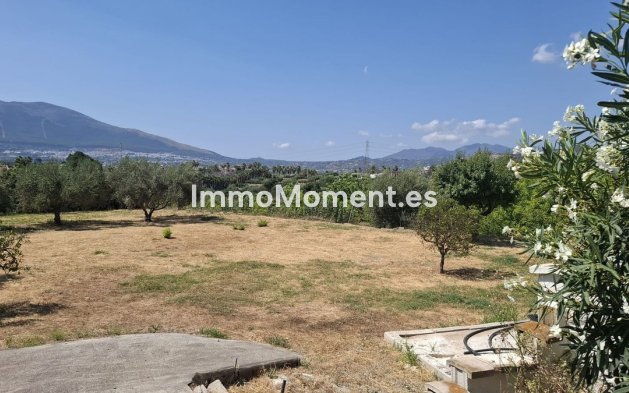 Revente - Maison de campagne - Intérieur                       - Alhaurín el Grande Centro