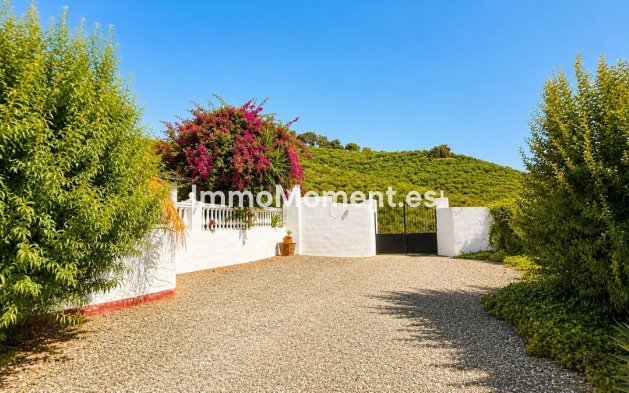 Revente - Maison de campagne - Intérieur                       - Alhaurín el Grande Centro
