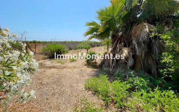 Resale - Detached villa - Daya Nueva - Daya Nueva Centro