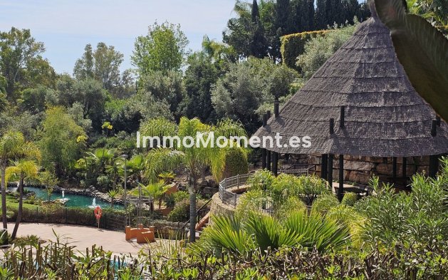 Reventa - Apartamento - Marbella - Nueva Andalucía