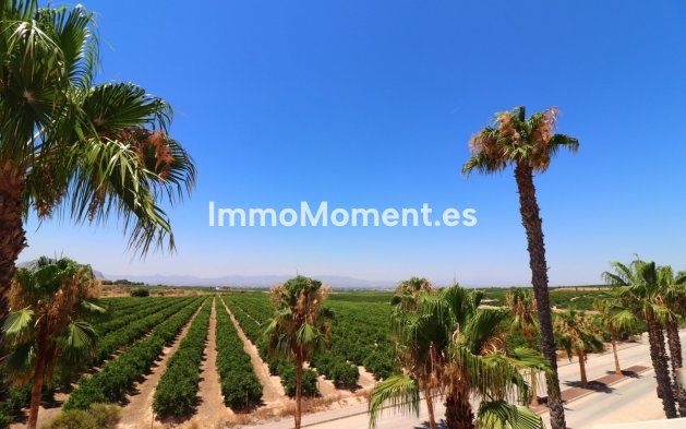 Bestaande woning - Vrijstaande villa - Algorfa - Algorfa Centro