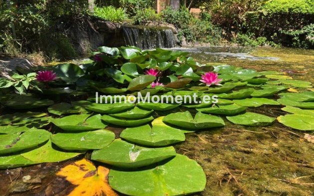 Resale - Apartment - Estepona - Atalaya