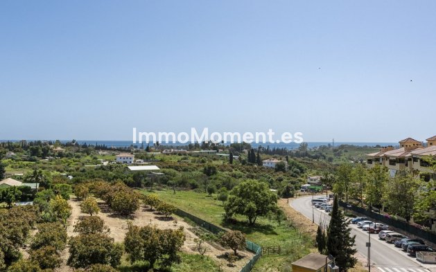 Revente - Appartement - Estepona  - Selwo