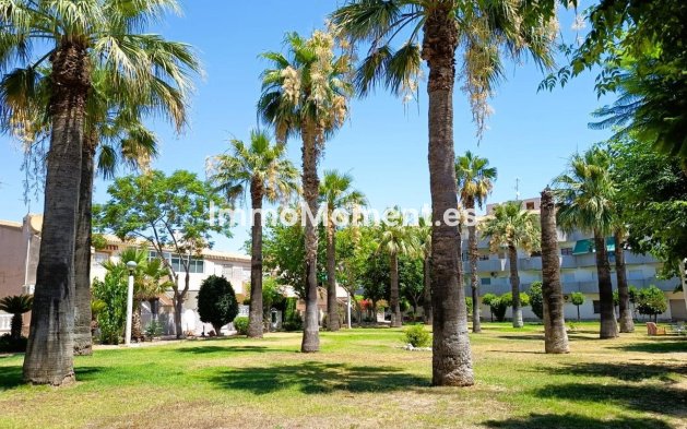 Resale - Detached villa - Orihuela - La Regia