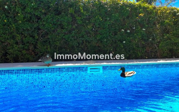 Bestaande woning - Vrijstaande villa - Estepona  - Estepona Centro