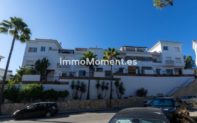 Revente - Maison mitoyenne - Intérieur                       - Lauro Golf