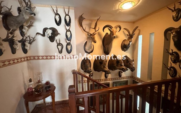 Revente - Villa individuelle - Mijas - Mijas Costa