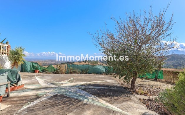 Reventa - Villa independiente - Interior  - Guaro
