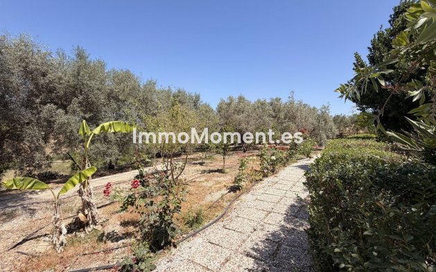 Bestaande woning - Landhuis - Binnenland  - Alhaurín el Grande Centro