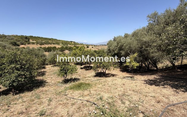 Bestaande woning - Landhuis - Binnenland  - Alhaurín el Grande Centro