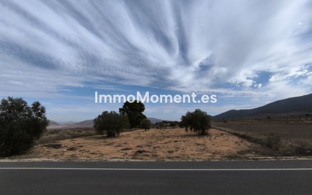 Bestaande woning - Vrijstaande villa - Monóvar - Monòver - Monóvar - Monòver Centro