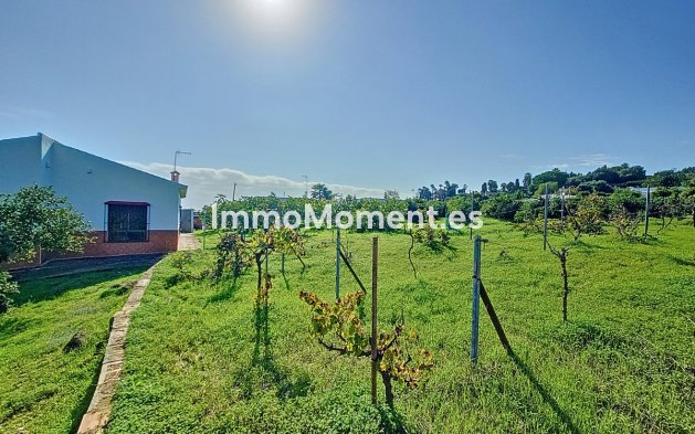 Bestaande woning - Landhuis - Estepona  - El Padron