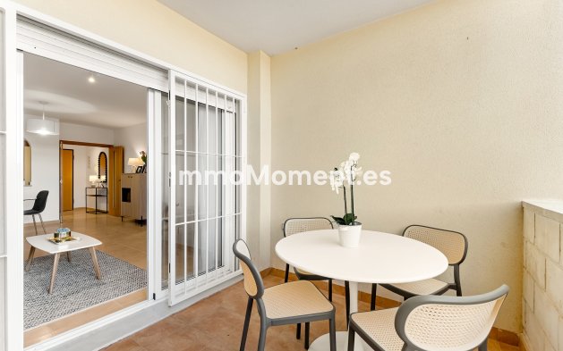 Neubau - Penthouse - Orihuela Costa