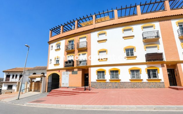 Reventa - Apartamento - Interior  - Guaro