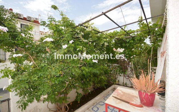 Wiederverkauf - Freistehende Villa - Torrevieja - Torrevieja Centro