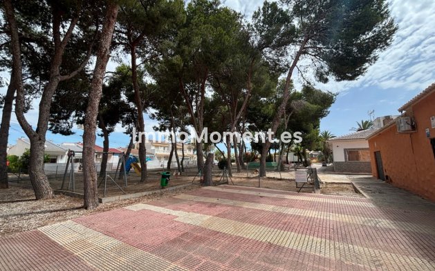Wiederverkauf - Freistehende Villa - Torrevieja - Torrevieja Centro
