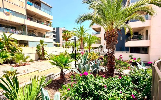 Resale - Apartment - Orihuela - Cabo roig - La Zenia