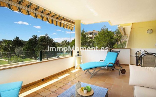 Bestaande woning - Appartement - Orihuela - Campoamor Golf