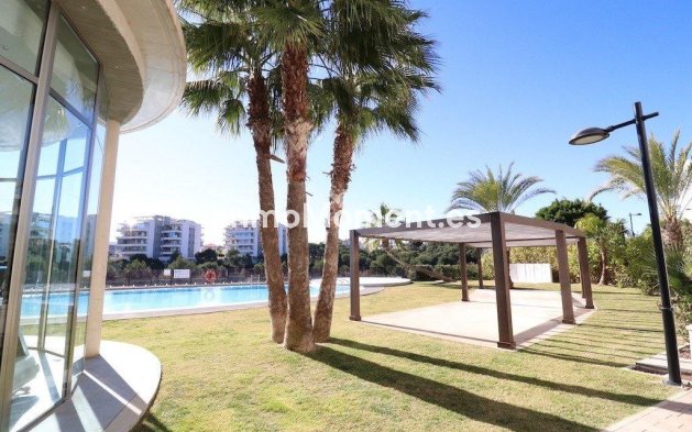 Wiederverkauf - Wohnung - Orihuela - Villamartín