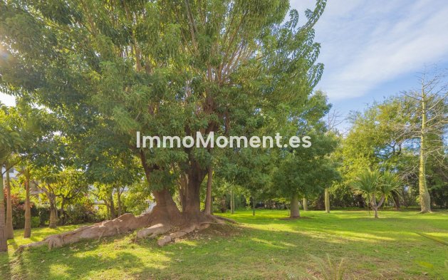 Revente - Appartement - Marbella - Marbella Centro