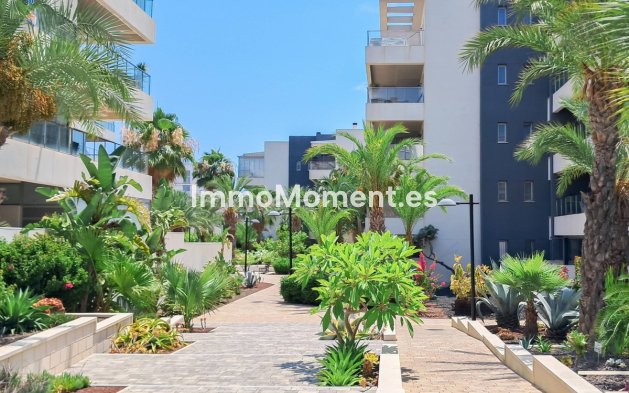 Reventa - Apartamento - Orihuela - Los Dolses