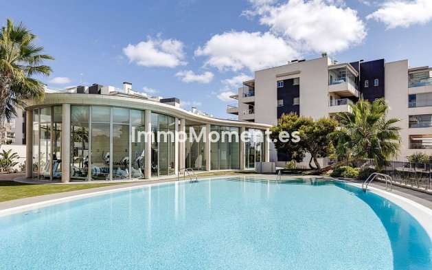 Reventa - Apartamento - Orihuela - Los Dolses