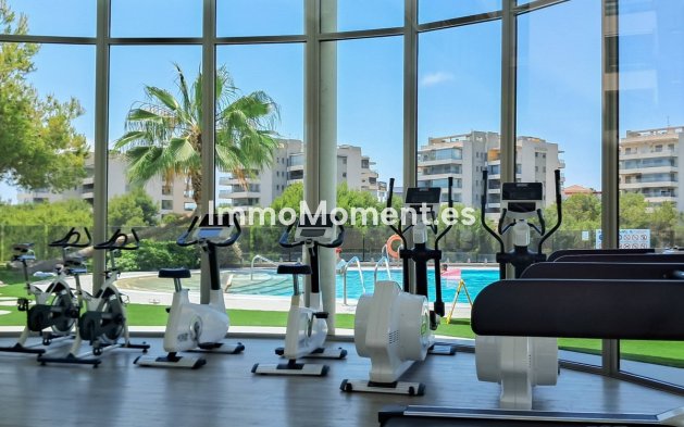 Reventa - Apartamento - Orihuela - Los Dolses