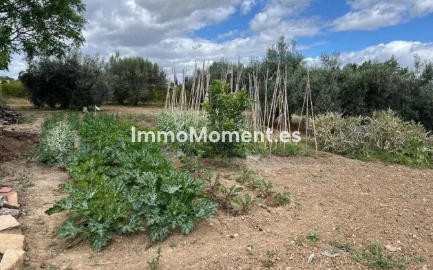 Resale - Detached villa - Málaga - Campanillas