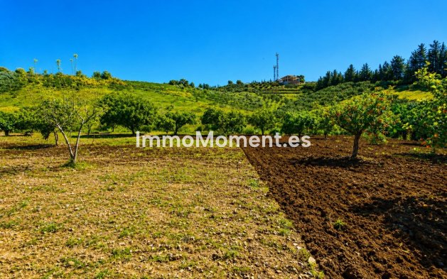 Revente - Maison de campagne - Estepona  - Estepona Centro