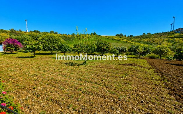 Revente - Maison de campagne - Estepona  - Estepona Centro