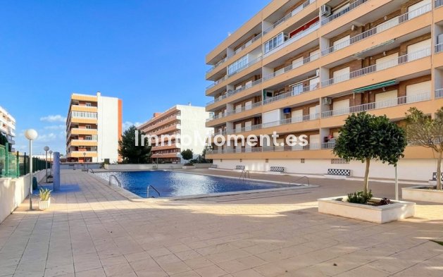 Resale - Apartment - Orihuela - Punta Prima