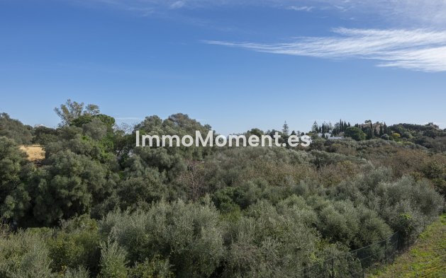 Wiederverkauf - Wohnung - Sotogrande