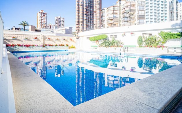 Revente - Appartement - Benidorm - Benidorm Centro