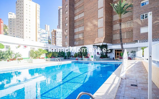 Revente - Appartement - Benidorm - Benidorm Centro