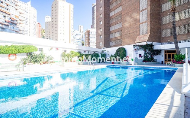 Revente - Appartement - Benidorm - Benidorm Centro