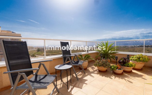 Reventa - Apartamento - Orihuela - Villamartín